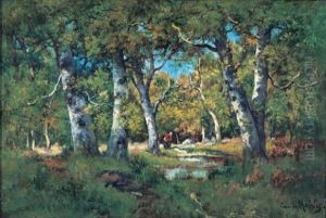Figure In A Sunlit Woodland Setting Figure In A Sunlit Woodland Setting