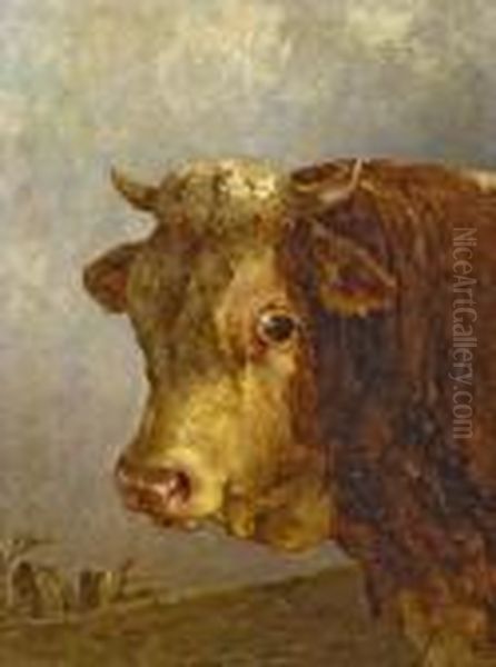 Stier - view 1