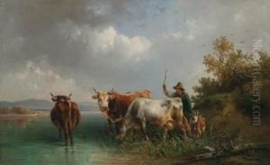 Cows With Herdsman On The Bank Of A River Cows With Herdsman On The Bank Of A River