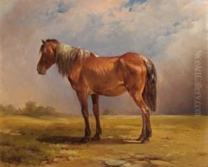 Ein Pferdeportrat by Edmund Mahlknecht