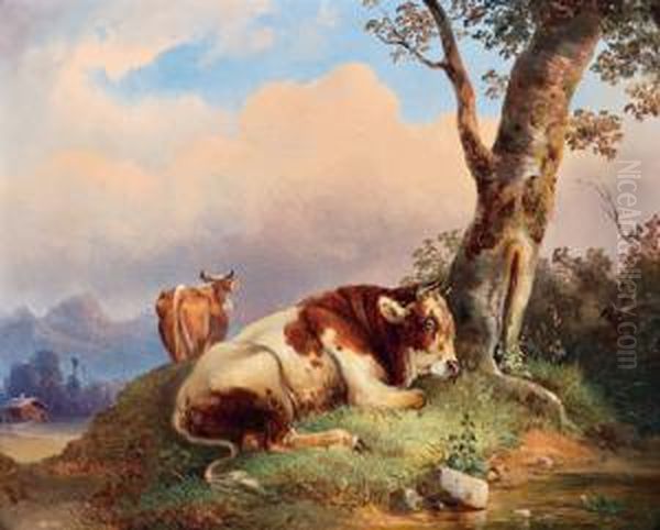 Kuhe Auf Der Weide - view 1