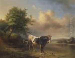 Bulle Und Ziege Bulle Und Ziege