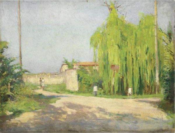 Salice Piangente - view 1