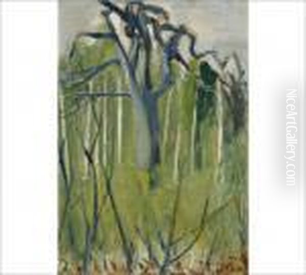 Untitled - view 1