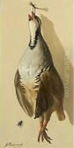 Uccello - view 1