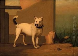 Waiting For His Master by William Malbon