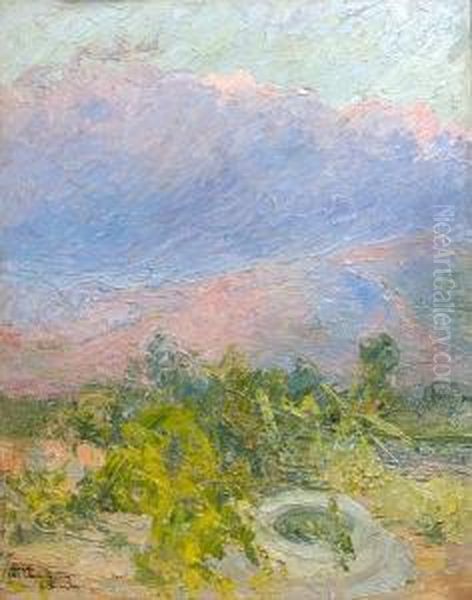 Landscape - view 1