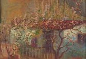 House Surrounded By Almond Trees