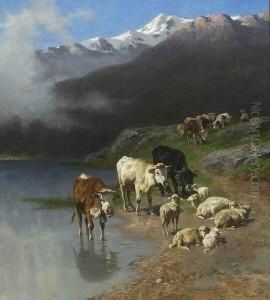 Kuhe Und Schafe Mit Einem
 Huterjungen Am Ufer Eines Gebirgsees.