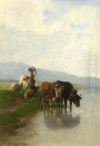 Hirtin Mit Schafen Und Ochsen An
 Der Tranke