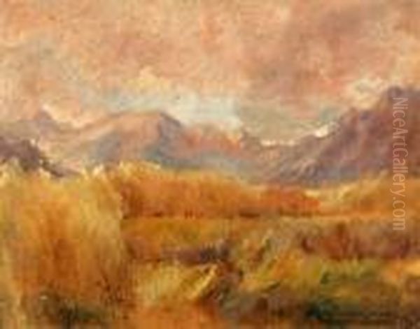 Campagna Piemontese - view 1