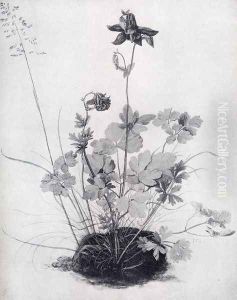 The Piece Of Turf With The Columbine by Albrecht Durer