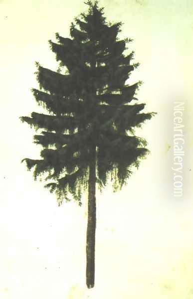 Pine Tree - view 1