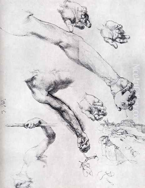 Three Studies From Nature For Adam's Arms In The 1504 - view 1