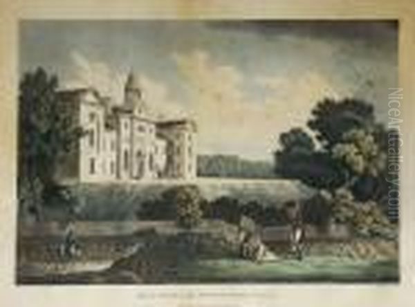 A Picturesque And Descriptive View Of The City Of Dublin - view 1