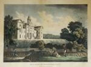 A Picturesque And Descriptive View Of The City Of Dublin