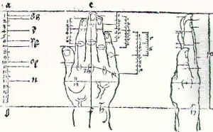 Hand by Albrecht Durer