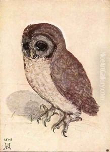 The Little Owl by Albrecht Durer