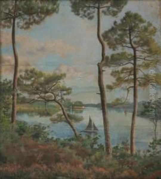 Paysage Aux Pins - view 1