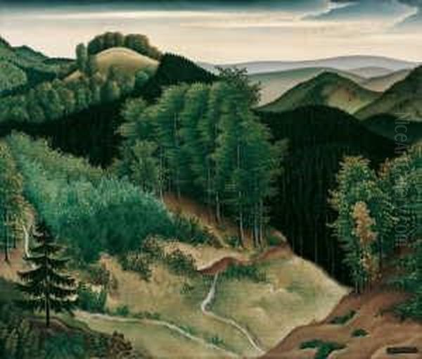 Einsamer Wald Im Harz - view 1