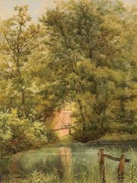 View Upon The Lake. - view 1