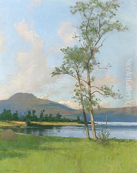 A Sunlit Loch - view 1