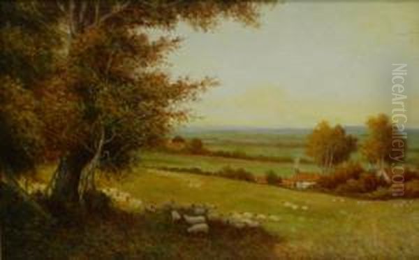 Sheep In The Meadow - view 1