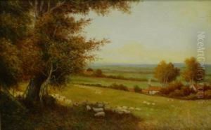 Sheep In The Meadow by William Manners