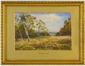 Woodland Scene