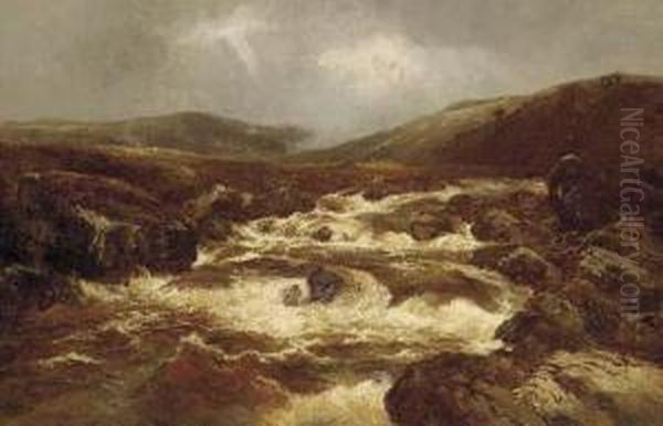 A River In Full Spate - view 1