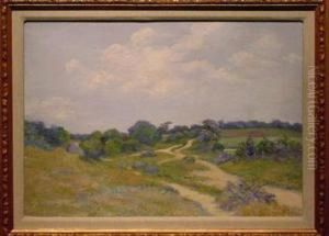 A Country Lane In Spring