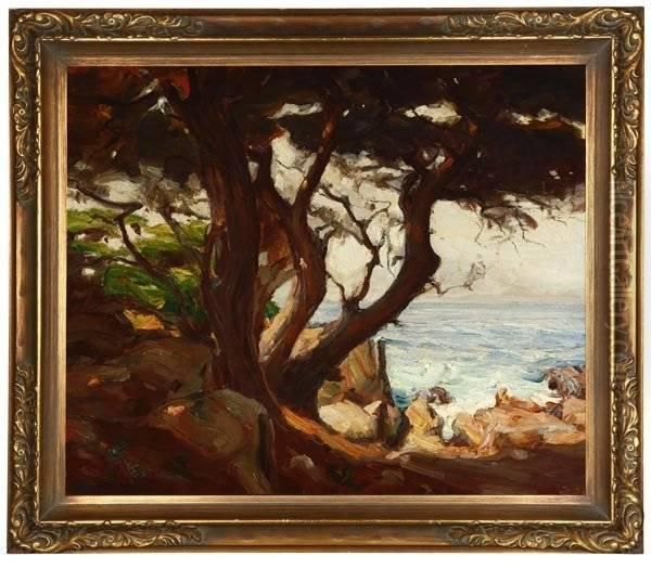 Trees In A Carmel Coastal View - view 1