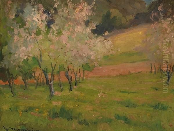 Springtime Orchard - view 1