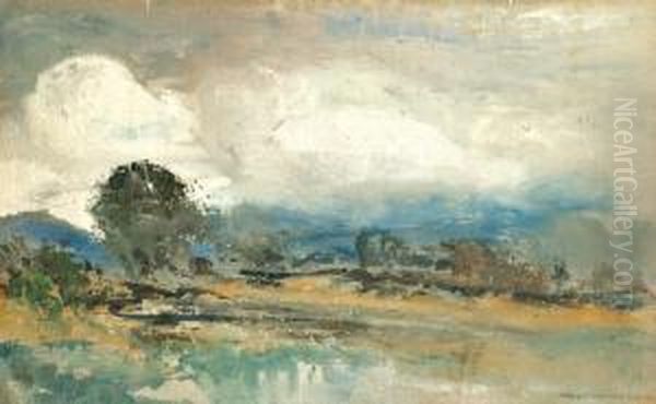 Folyopart - view 1