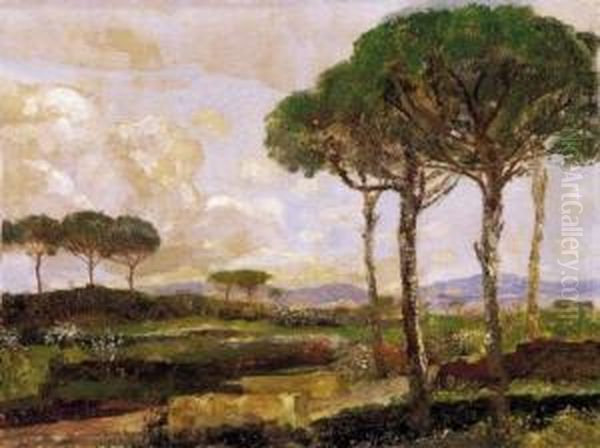 Italian Landscape With Pine Trees - view 1