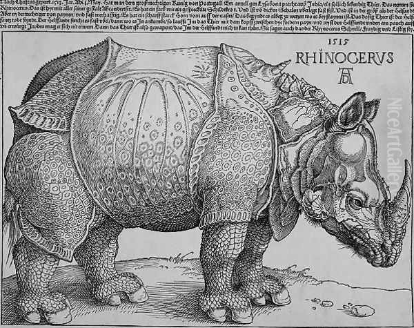 Rhinoceros - view 1