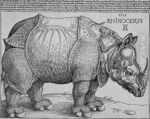Rhinoceros