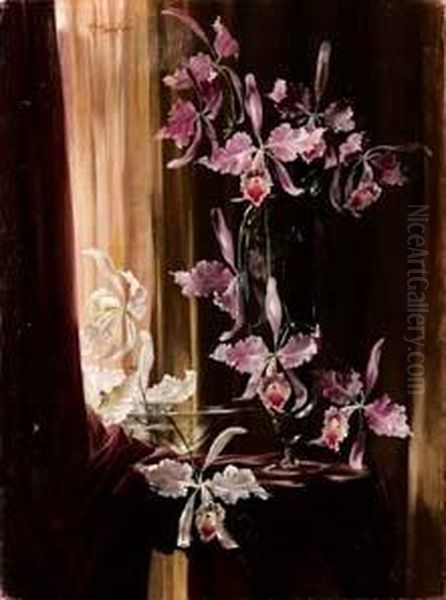 Orchidee - view 1