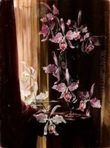 Orchidee by Federico Maragliano
