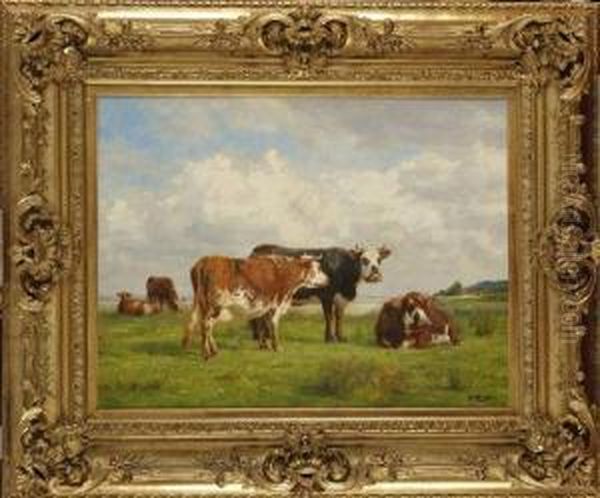 Vaches Sur La Falaise - view 1