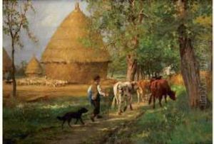 Le Retour Des Betes A La Ferme