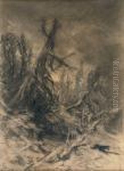 Untitled - view 1