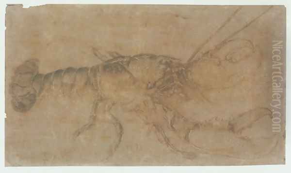 Lobster - view 1
