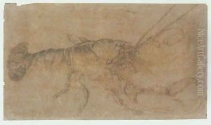 Lobster