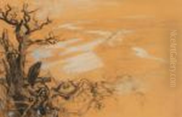 Studie Krajiny - view 1