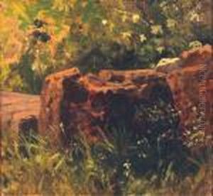 Lesni Zatisi Se Skalou by Julius Eduard Marak