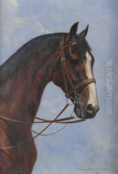 Le Cheval De Selle - view 1