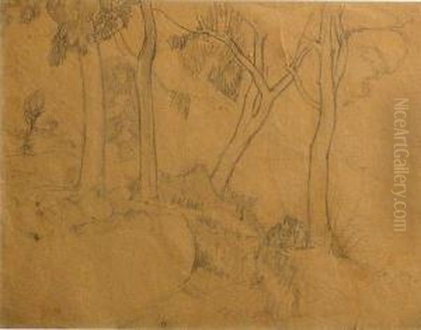 View From House; Trees; Paysage (3) - view 1