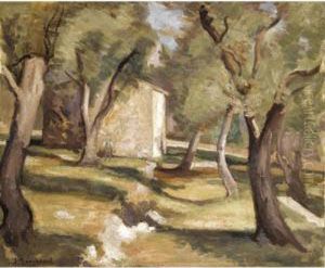 Paysage Avec Oliviers