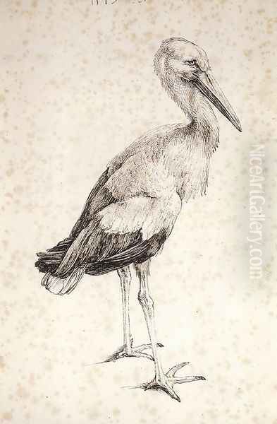 The Stork - view 1